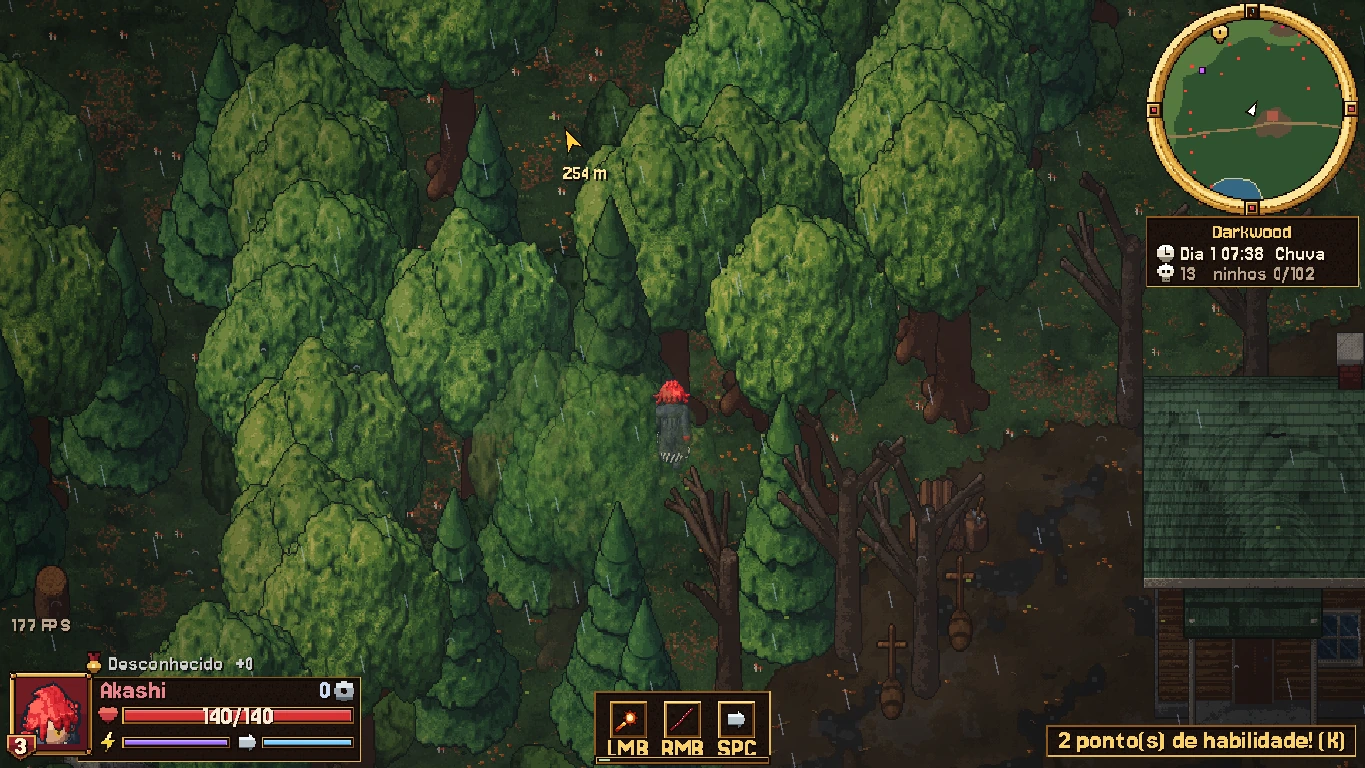 Rain falling through the woodland.